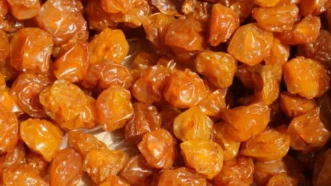 تصویر 4 از آلو بخارا برادران حسینی با سایز یکدست و رنگ طبیعی جذاب